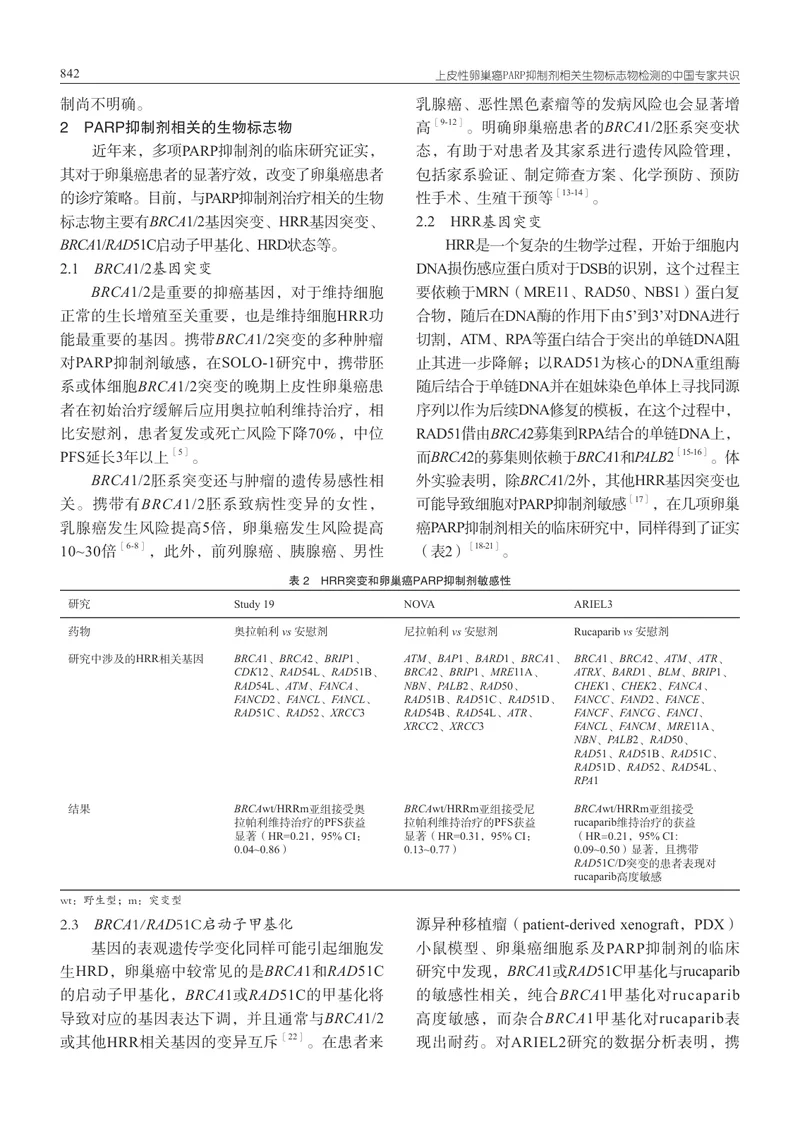 【妇产领域】上皮性卵巢癌PARP抑制剂相关生物标志物检测的中国专家共识
